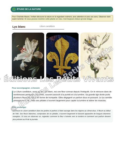 Aperçu page 3 du livre Blanche de Castille