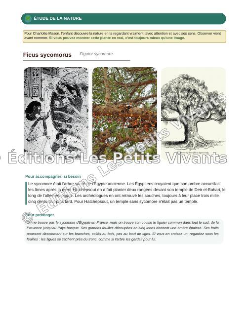 Aperçu page 3 du livre Hatchepsout