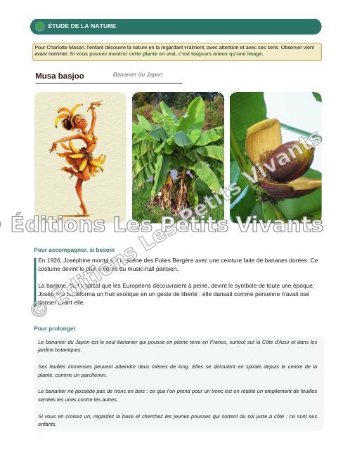 Aperçu page 3 du livre Joséphine Baker